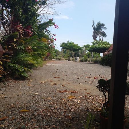 Cabanas Martina Surf Playa Guanico Pedregal المظهر الخارجي الصورة