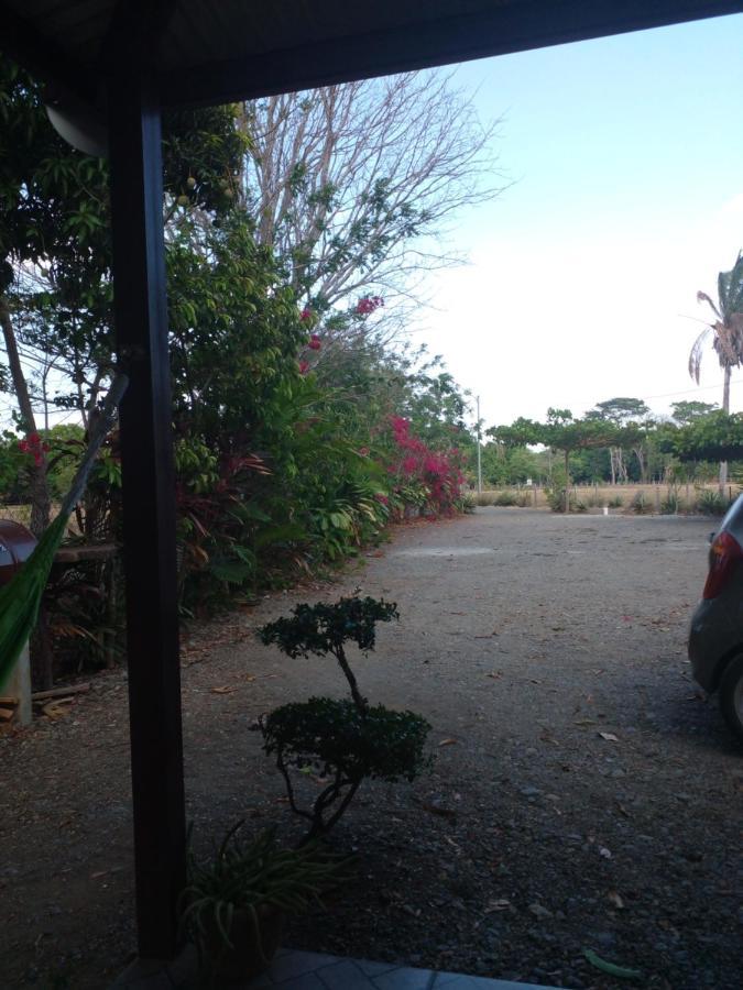 Cabanas Martina Surf Playa Guanico Pedregal المظهر الخارجي الصورة